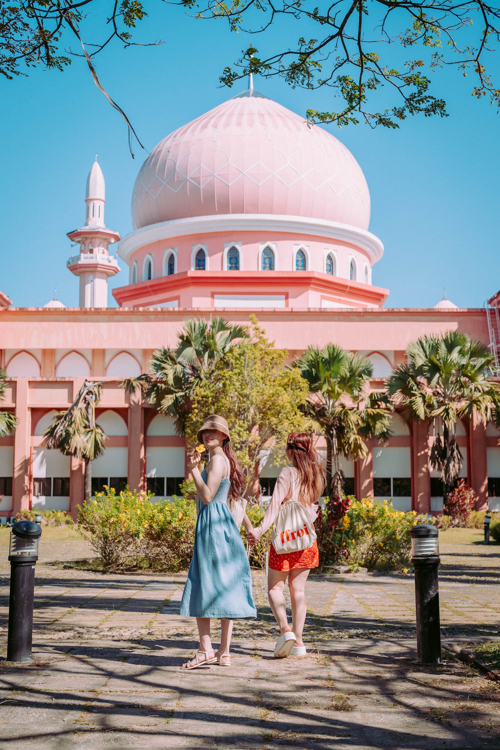 Pink Mosque